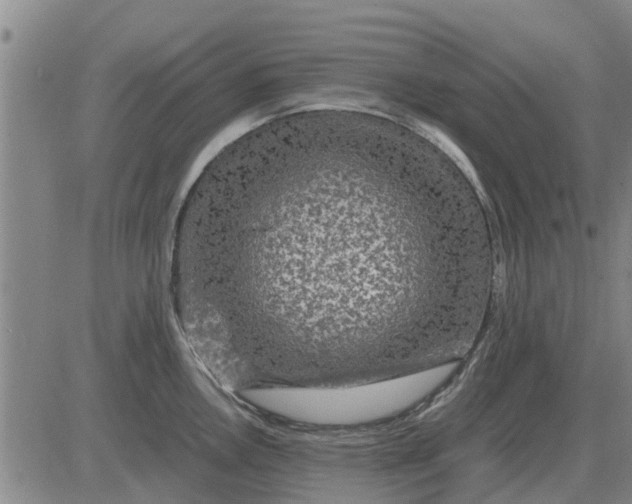 X0000084031146200703022116