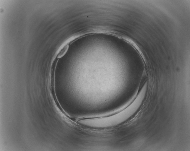 X0000084031147200703022116