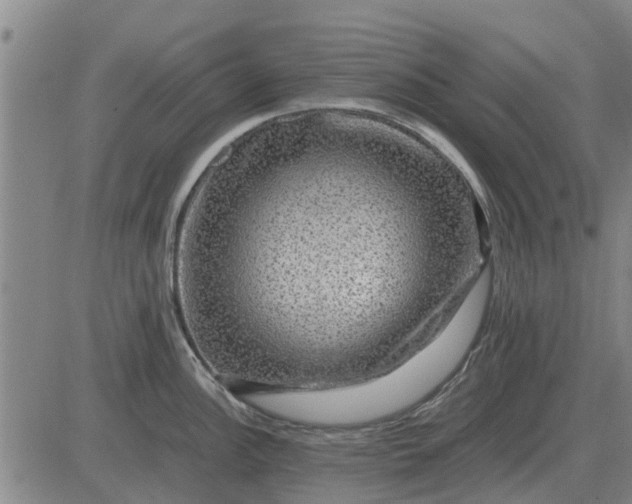 X0000084031148200703022116