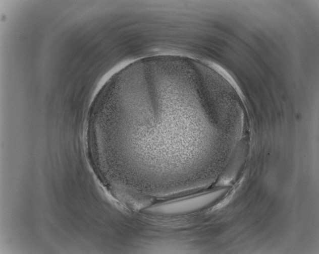 X0000084031149200703022116