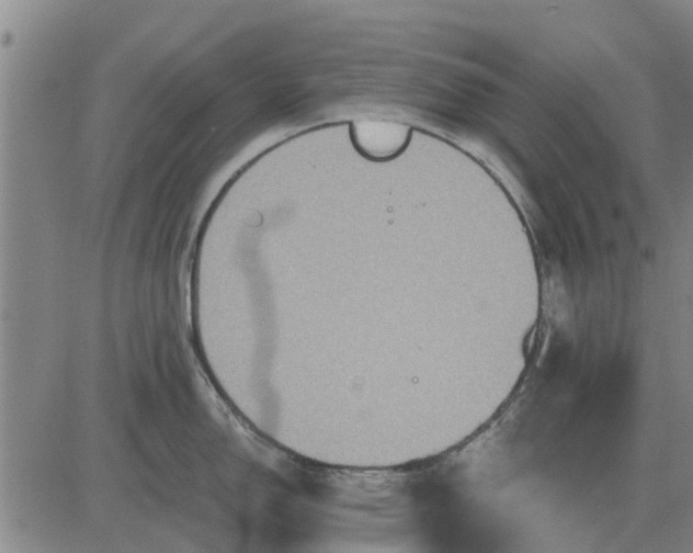 X0000084031150200703022116