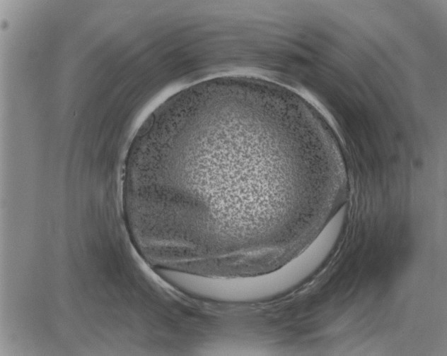 X0000084031151200703022116