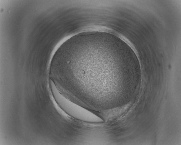 X0000084031152200703022116