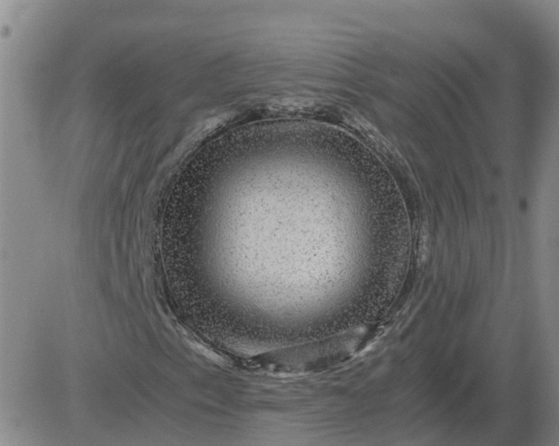 X0000084031153200703022115