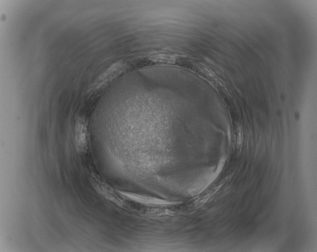 X0000084031154200703022115