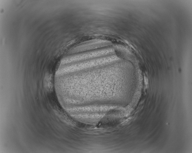 X0000084031156200703022115