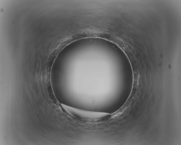 X0000084031157200703022115