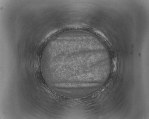 X0000084031158200703022115