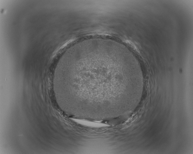 X0000084031159200703022115