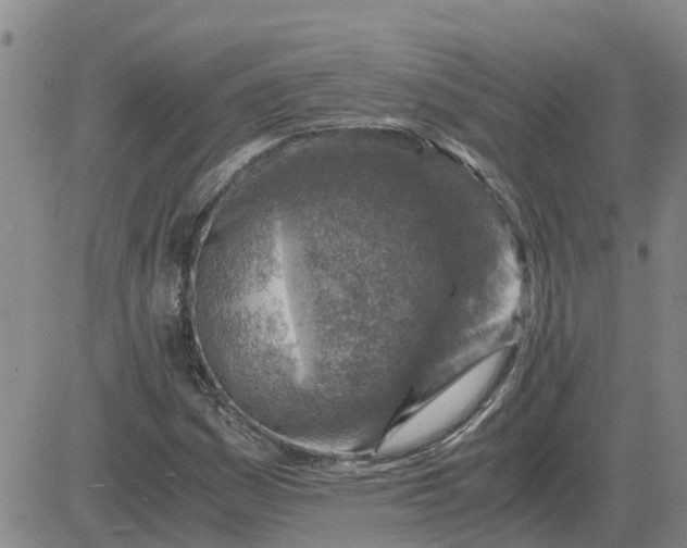 X0000084031161200703022115