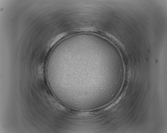 X0000084031162200703022115