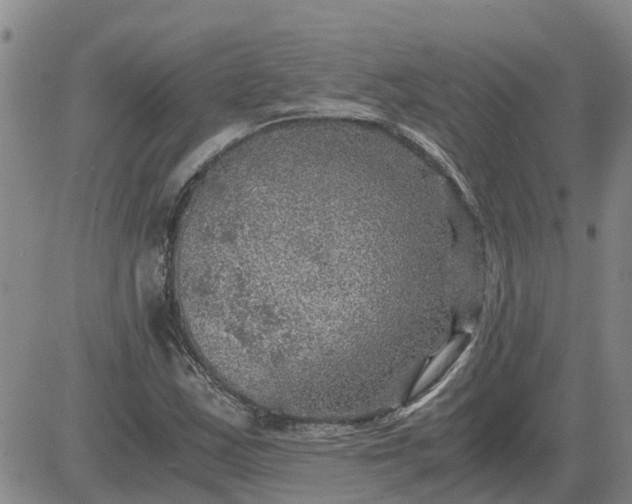 X0000084031163200703022115