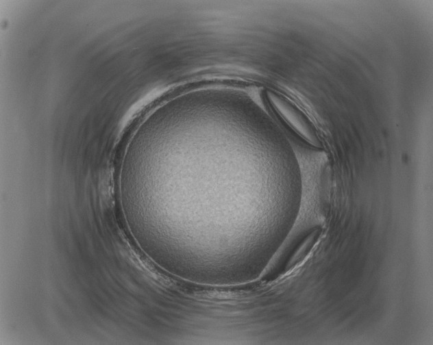 X0000084031164200703022115