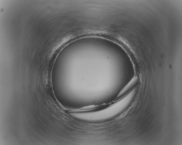 X0000084031165200703022115