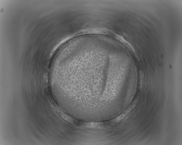 X0000084031166200703022115