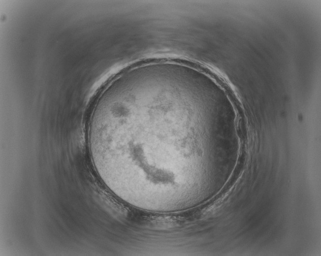 X0000084031167200703022115