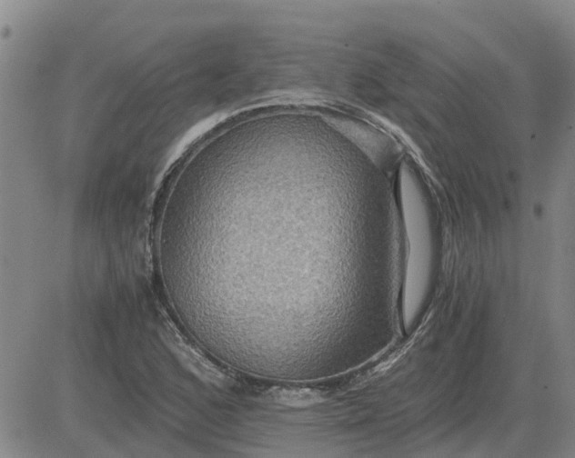 X0000084031168200703022115