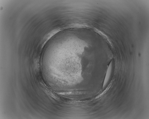 X0000084031170200703022115