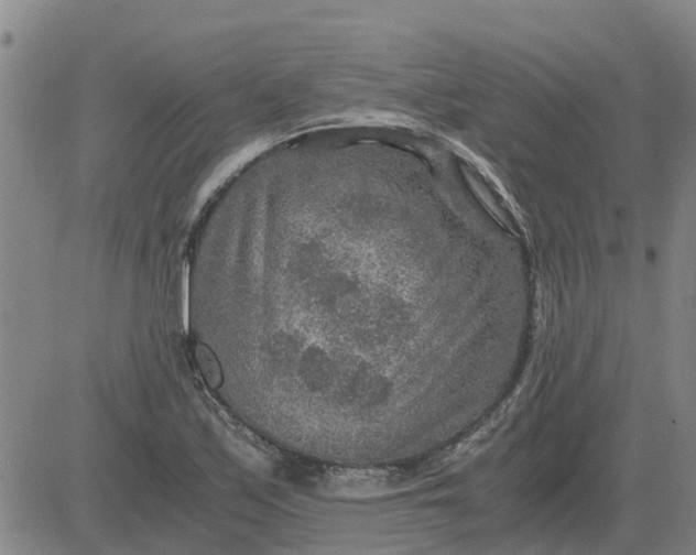 X0000084031171200703022115