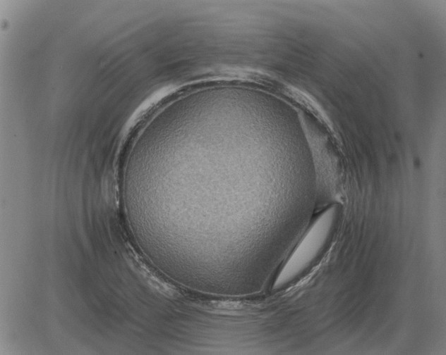 X0000084031172200703022115