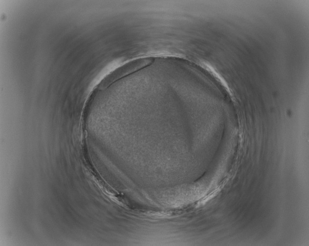 X0000084031173200703022115