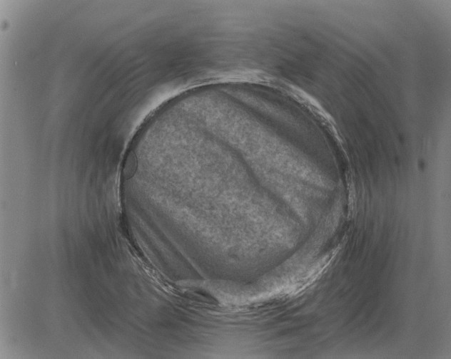 X0000084031174200703022115