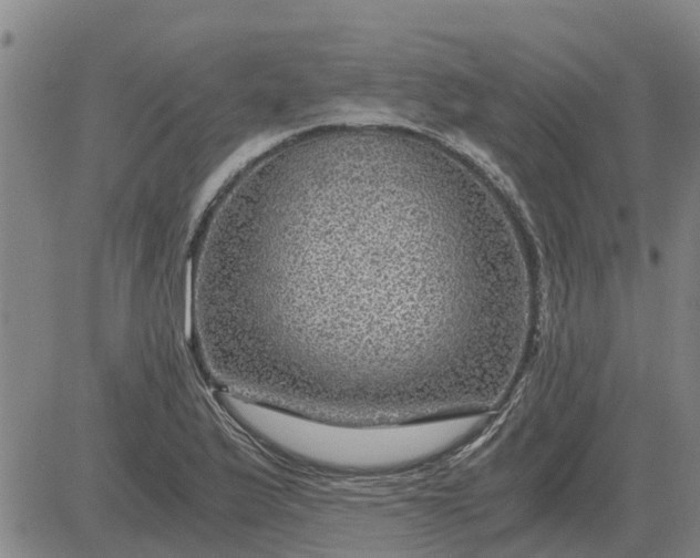 X0000084031175200703022115