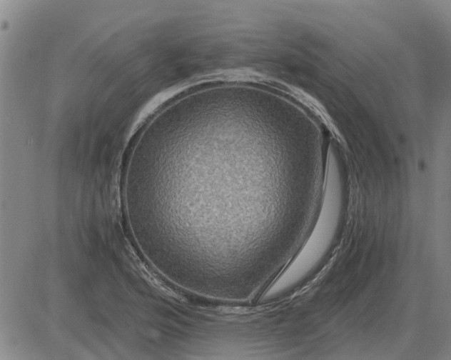 X0000084031176200703022115