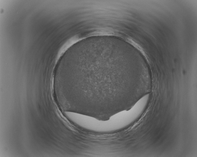 X0000084031179200703022115