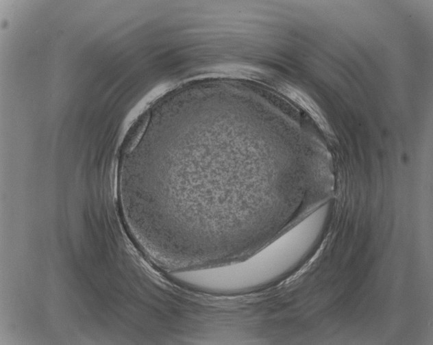 X0000084031180200703022115