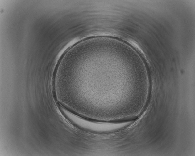 X0000084031181200703022115