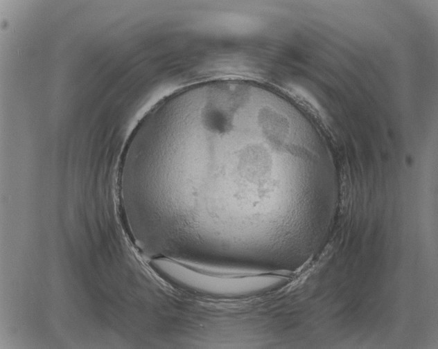 X0000084031182200703022115