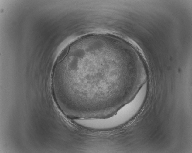 X0000084031183200703022115