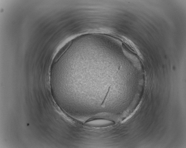 X0000084031184200703022115