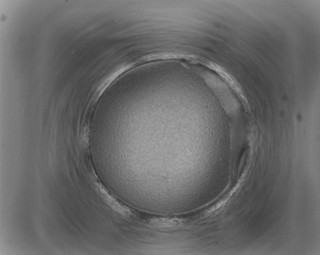 X0000084031185200703022115