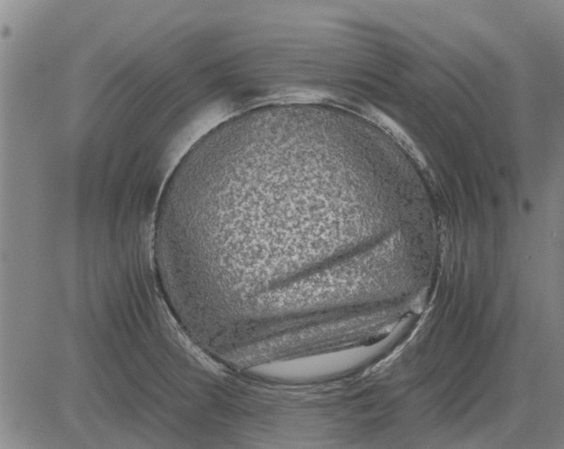 X0000084031186200703022115