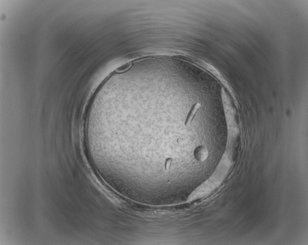 X0000084031187200703022115