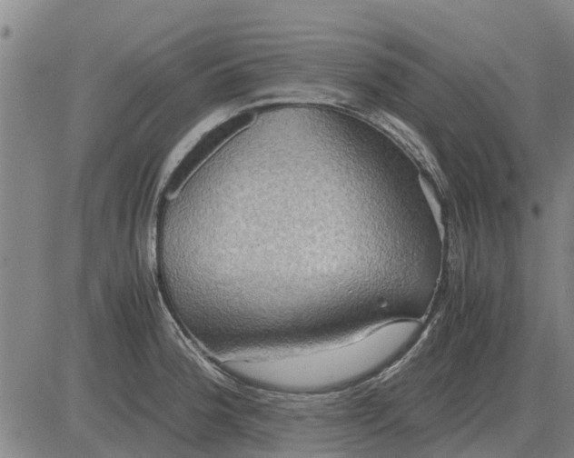 X0000084031188200703022115