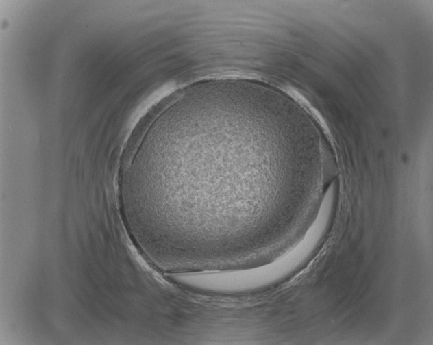 X0000084031189200703022115