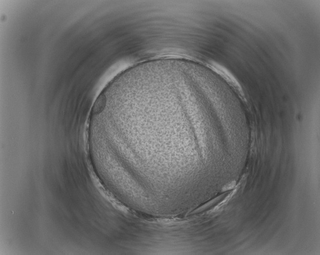 X0000084031190200703022115