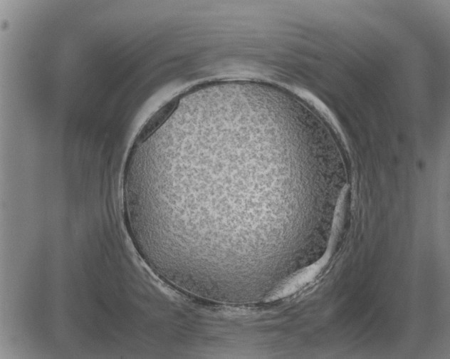 X0000084031191200703022114