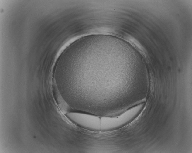 X0000084031192200703022114