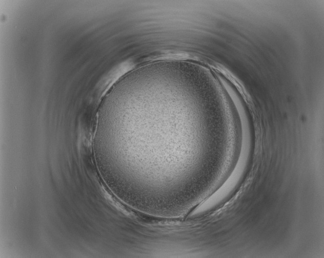 X0000084031193200703022114