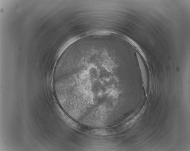 X0000084031194200703022114