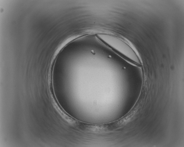 X0000084031195200703022114