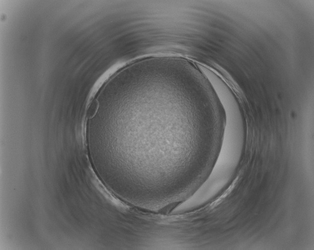 X0000084031196200703022114