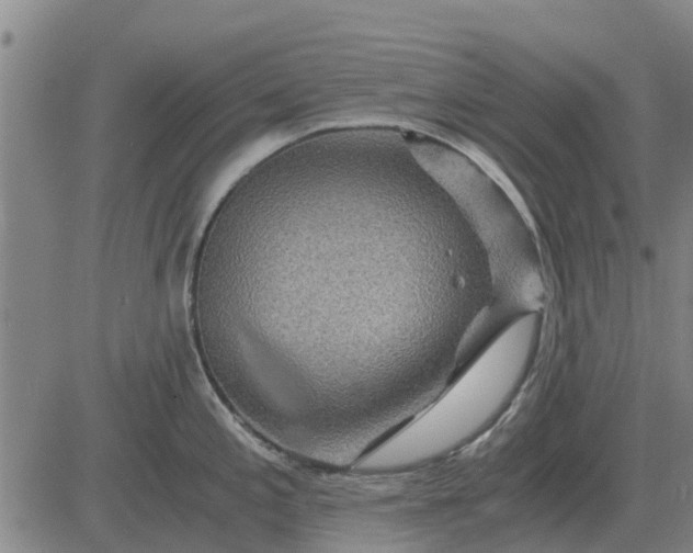 X0000084031197200703022114