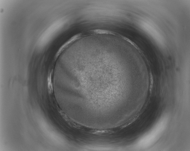 X0000084031198200703022114