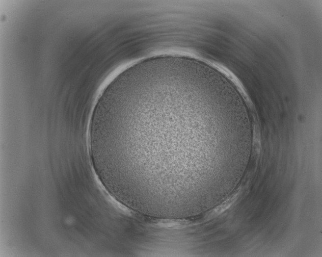 X0000084031199200703022114