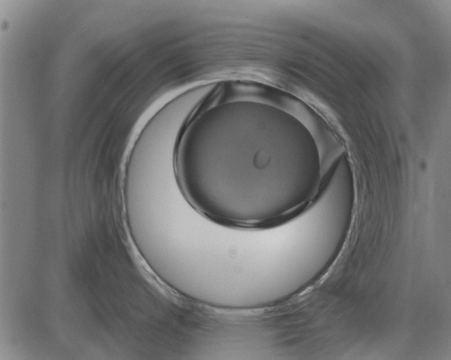 X0000084031200200703022114